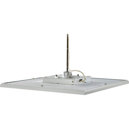 Shure MXA925W Micrófono de Techo Matricial Blanco Cobertura 9m x 9m