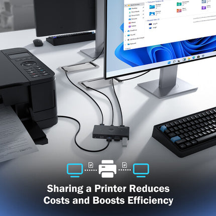 Lemorele H100 USB KVM Switch con dos puertos USB-A 3.2 Gen 1 y USB-C