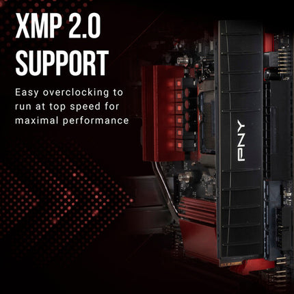 PNY 32GB XLR8 DDR4 3200 MHz Memoria DIMM Kit 2x16GB CL16