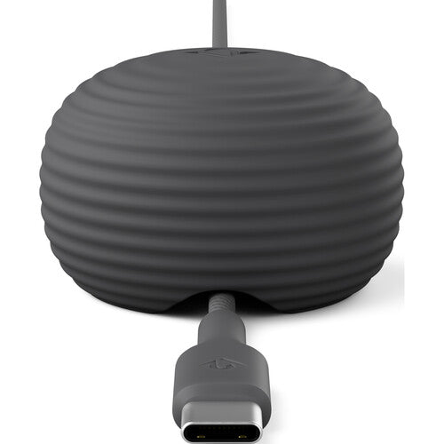 Twelve South CableStay Cable USB-C 60W con Anclaje Pesado 5 pies Slate