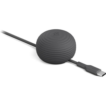 Twelve South CableStay Cable USB-C 60W con Anclaje Pesado 5 pies Slate