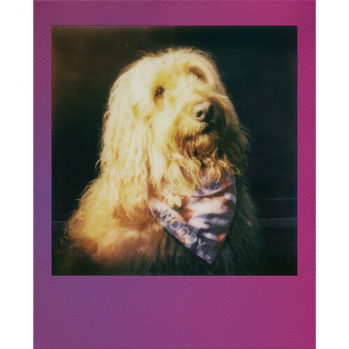 Película a Color Polaroid Go 16 Fotos Instantáneas 1.8x1.8 Pulgadas