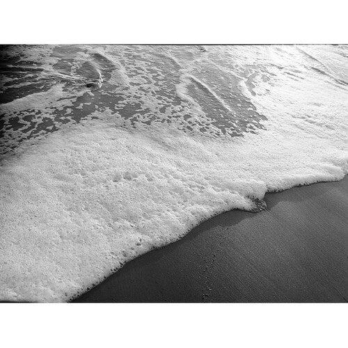 Kodak Professional Tri-X 400 Película negativa B&N 35mm ISO 400 Grano fino 100'