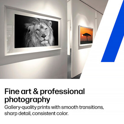 HP DesignJet Z9+dr Impresora 44" PostScript Dual Roll 2400x1200 dpi V-Trimmer Plus