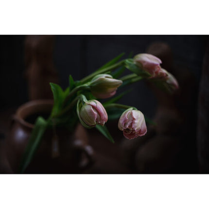 Sigma 20-60mm f2.8-4 DG Contemporary Lente Zoom Full Frame Sony E 67mm