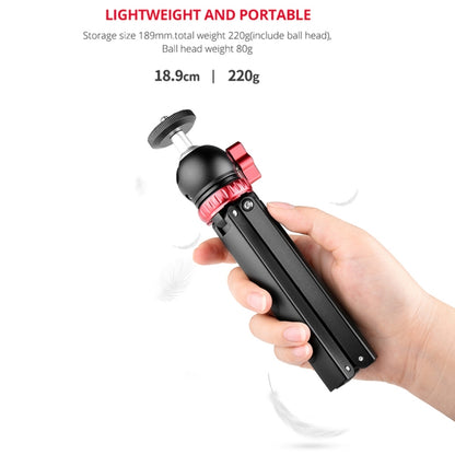 YELANGU T1 YLG1202A Mini Trípode Escritorio Cabezal360Grados