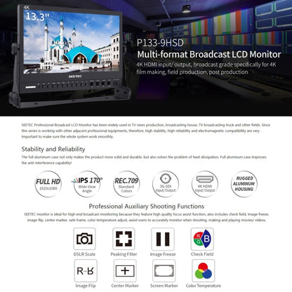 SEETEC P133-9HSD Monitor De Campo Para Cámara Full HD IPS