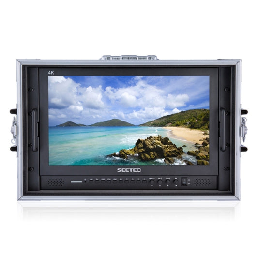 SEETEC P173-9HSD-CO Monitor De Campo Profesional 17,3 Pulgadas SDI HDMI 4K