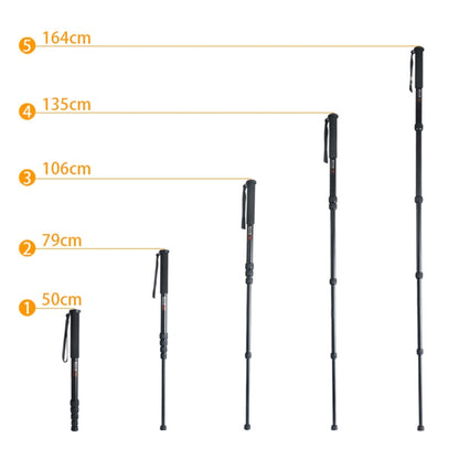 BEXIN P285-A Monopie Para Camara DSLR Aluminio Retráctil