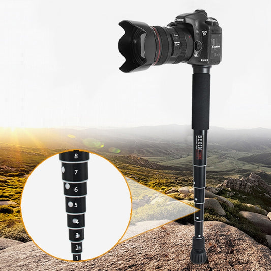 BEXIN P308D Monopod de Aluminio para DSLR Bloqueo Rápido