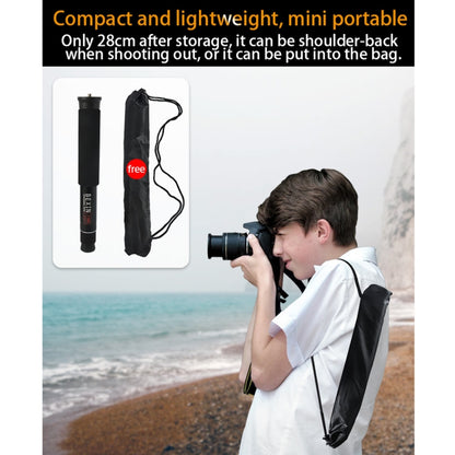BEXIN P308D Monopod de Aluminio para DSLR Bloqueo Rápido