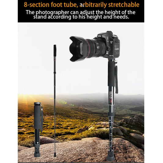 BEXIN P308 Monopié Soporte DSLR Extensible 160 Cm Portátil