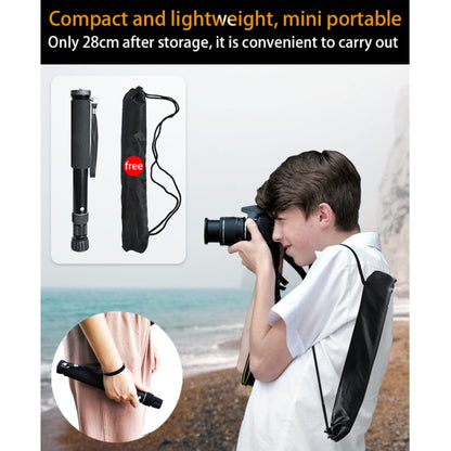 BEXIN P308 Monopié Soporte DSLR Extensible 160 Cm Portátil