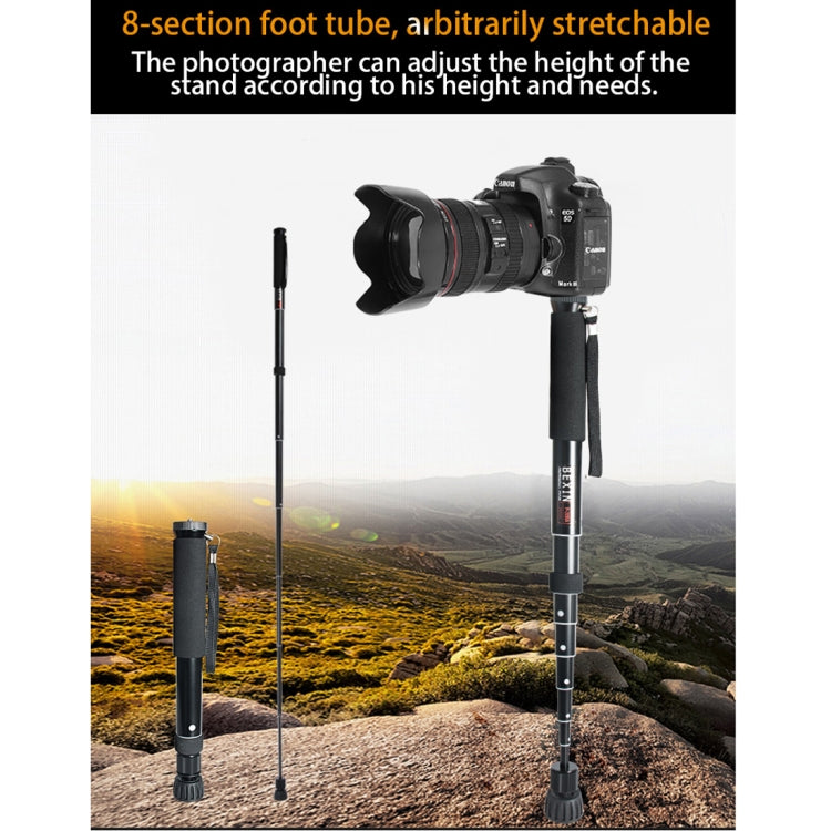 BEXIN P308A Monopié De Aluminio Para Cámara DSLR 160 cm