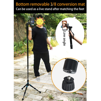BEXIN P308B Soporte Monopié Para Cámara DSLR Altura 160 Cm