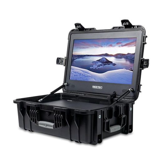 SEETEC WPC215 Monitor De Director 21.5 1000 Nits Pro