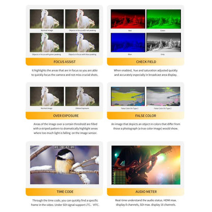 SEETEC P133 PRO Monitor De Transmisión 13,3 FullHD 1000 Nits