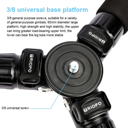 TRIOPO GS2808 Trípode Fotografía Fibra de Carbono Profesional