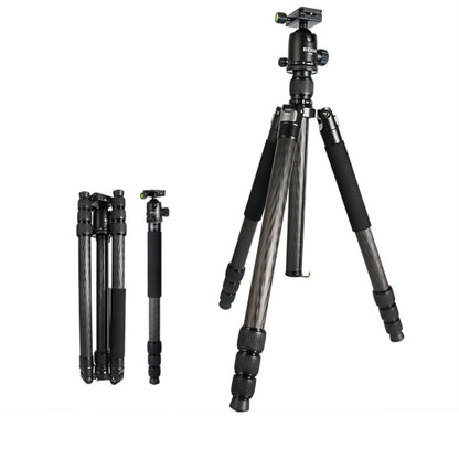 BEXIN W324C G44 Trípode Cámara DSLR Fibra De Carbono 20kg