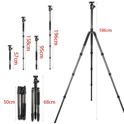 BEXIN W324C G44 Trípode Cámara DSLR Fibra De Carbono 20kg
