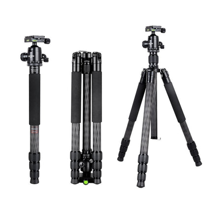 BEXIN W284C H36 Trípode Fotográfico Fibra de Carbono