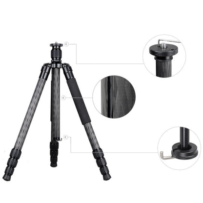 BEXIN W284C H36 Trípode Fotográfico Fibra de Carbono