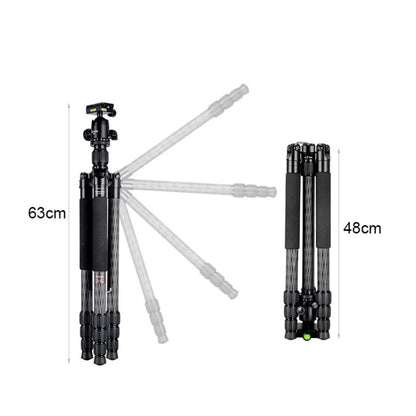 BEXIN W284C H36 Trípode Fotográfico Fibra de Carbono