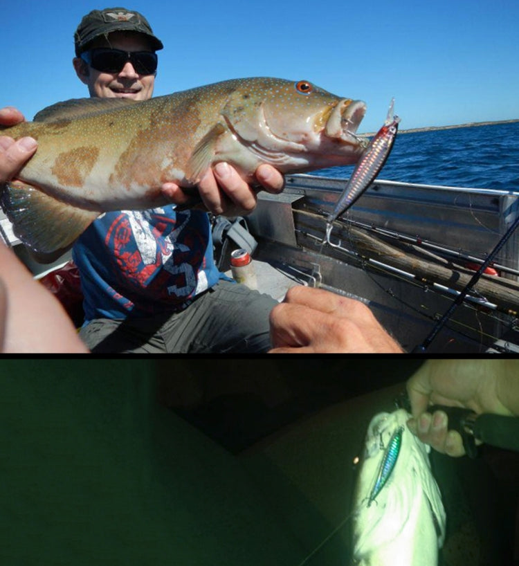 HENGJIA 43Uds Señuelos Pesca Mosca Cebo Duro Brillantes