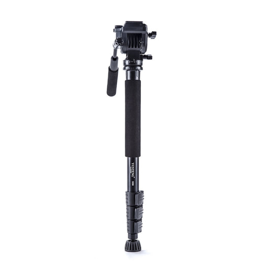 Yunteng VCT-558 Monopié Cámara Cabezal Fluido Profesional