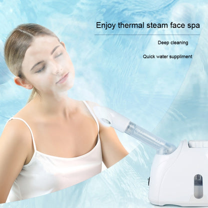 K-SKIN K33S Máquina de Vapor Facial Niebla Caliente