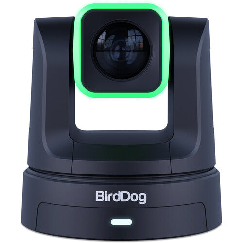 BirdDog 3 X5 Ultra cámaras PTZ 20x zoom óptico control PTZ integrad